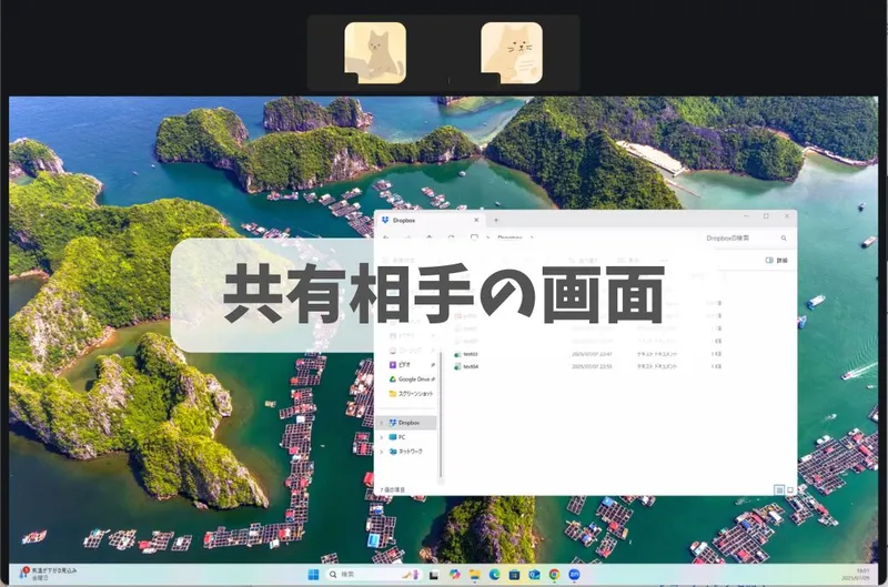 画面共有時の相手側の画面