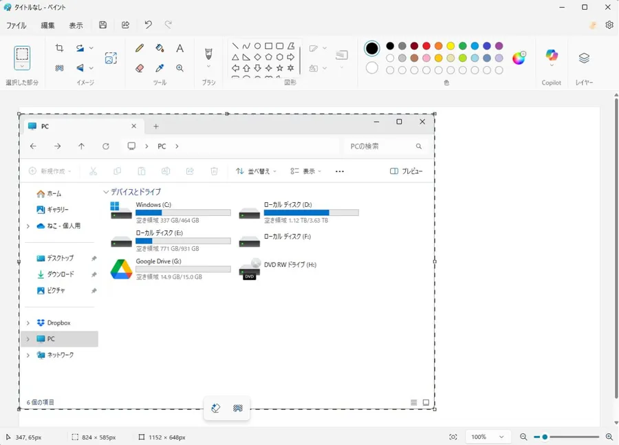 ペイントソフトにスクリーンショットを貼り付けた画面