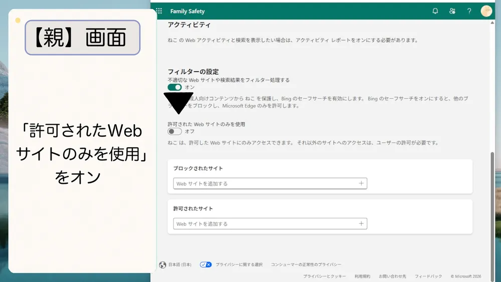 「許可されたWebサイトのみを使用」をオン