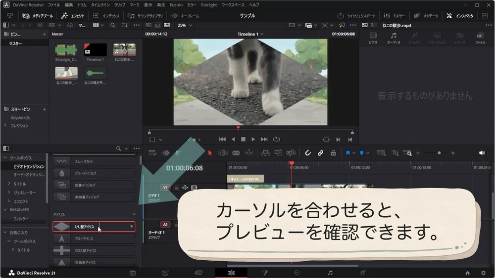 トランジション名にマウスポインターを合わせてビューアでプレビューする画面